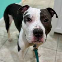 Thumbnail photo of Zero #1