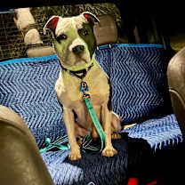 Thumbnail photo of Zero #2