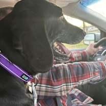 Thumbnail photo of Herbie #2