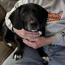 Thumbnail photo of Herbie #3