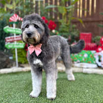 Thumbnail photo of Ella #1