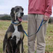 Thumbnail photo of Luna B #1