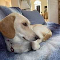 Thumbnail photo of Charlotte #2