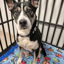 Thumbnail photo of Elody #3