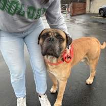 Thumbnail photo of Ford #1