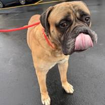 Thumbnail photo of Ford #3