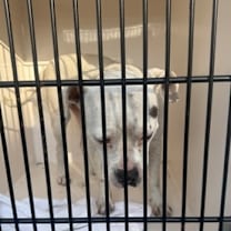 Thumbnail photo of Matilda #3