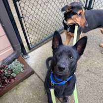 Thumbnail photo of Moses #2