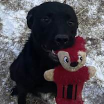 Thumbnail photo of Elsa #1