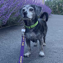 Thumbnail photo of Jerry #3