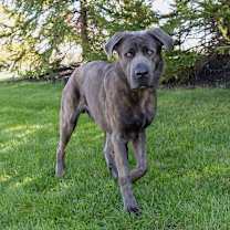 Thumbnail photo of Walter #4