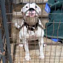 Thumbnail photo of Miley #2