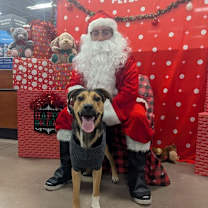 Thumbnail photo of Brother JuM #1