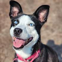 Thumbnail photo of Miracle #3