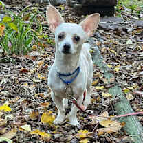 Thumbnail photo of Kruger $450 #1