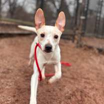 Thumbnail photo of Sunny #1