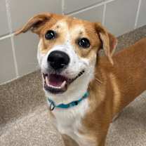 Thumbnail photo of Roddy #2