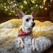 Thumbnail photo of Kruger $450 #4