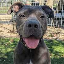 Thumbnail photo of Cowboy #2