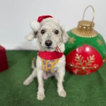 Thumbnail photo of Rugby #3