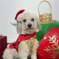 Thumbnail photo of Carrie #3