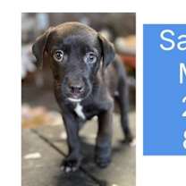 Thumbnail photo of Venus #4