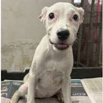 Thumbnail photo of Luna #1