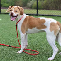 Thumbnail photo of Theo #3