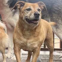 Thumbnail photo of Zarah #1