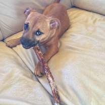 Thumbnail photo of Zarah #3