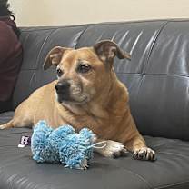 Thumbnail photo of Zarah #4