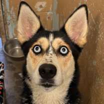 Thumbnail photo of Mika #2