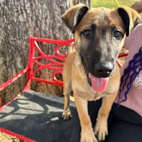 Thumbnail photo of 59988238 #1