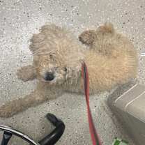 Thumbnail photo of Subway #1