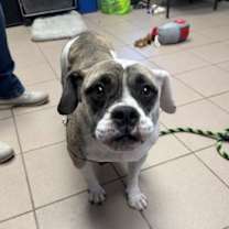 Thumbnail photo of Doris #1