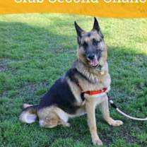 Thumbnail photo of Olive #1