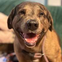 Thumbnail photo of Jimmy Two Toes #1