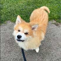 Thumbnail photo of Solomon #3