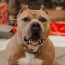 Thumbnail photo of Mr. Mushroom 🍄 #1