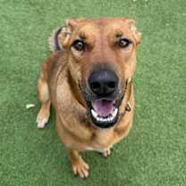 Thumbnail photo of Lady #1