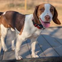 Thumbnail photo of Donny #4