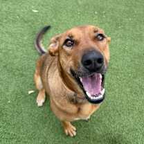 Thumbnail photo of Lady #2