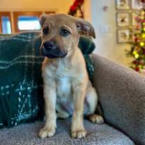 Thumbnail photo of Clarice #2