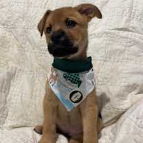 Thumbnail photo of Clarice #3