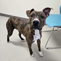 Thumbnail photo of Kimchi #1