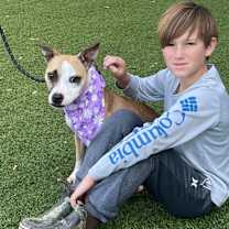 Thumbnail photo of Mitsy #2