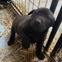 Thumbnail photo of Ivan #2