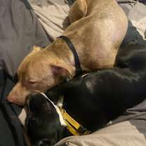 Thumbnail photo of El Toro #4