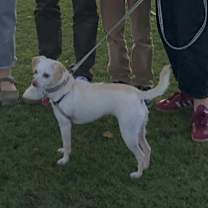 Thumbnail photo of Hedy #1