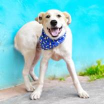 Thumbnail photo of WYLIE #2